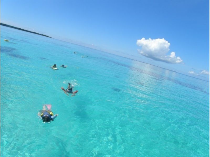 [沖縄·石垣島】家庭歡迎！美麗的珊瑚浮潛（半天課程）の紹介画像