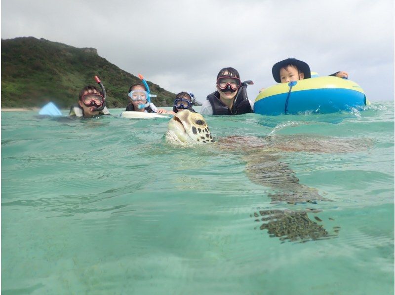 [沖繩/宮古島]春季促銷正在進行中！ 16週年感恩節！每天限3組！在前濱海灘與野生海龜和 3 種尖叫海洋生物一起浮潛！の紹介画像