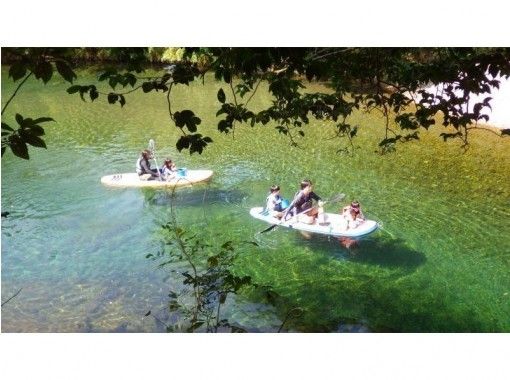 徳島 四国 色々な川遊びを体験したい方必見 よくばり川遊び 2時間半コース アクティビティジャパン 徳島 四国 色々な川遊びを体験したい方必見 よくばり川遊び 2時間半コース アクティビティジャパン