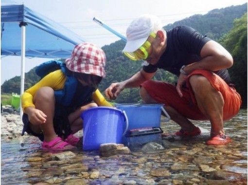 徳島 四国 色々な川遊びを体験したい方必見 よくばり川遊び 2時間半コース アクティビティジャパン 徳島 四国 色々な川遊びを体験したい方必見 よくばり川遊び 2時間半コース アクティビティジャパン