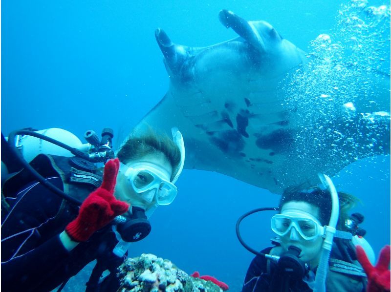 [Okinawa ・ Ishigaki island] Go to the longed-for Manta Point! (Experience Diving&Snorkeling plan〕