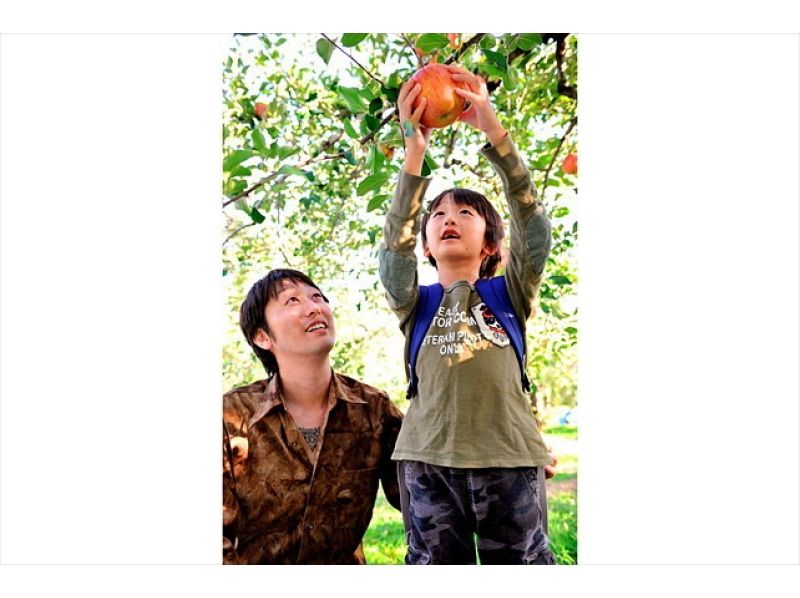 [Gunma / Numata] Enjoy the charm of fruits! Picking apples at a tourist fruit farm!の紹介画像