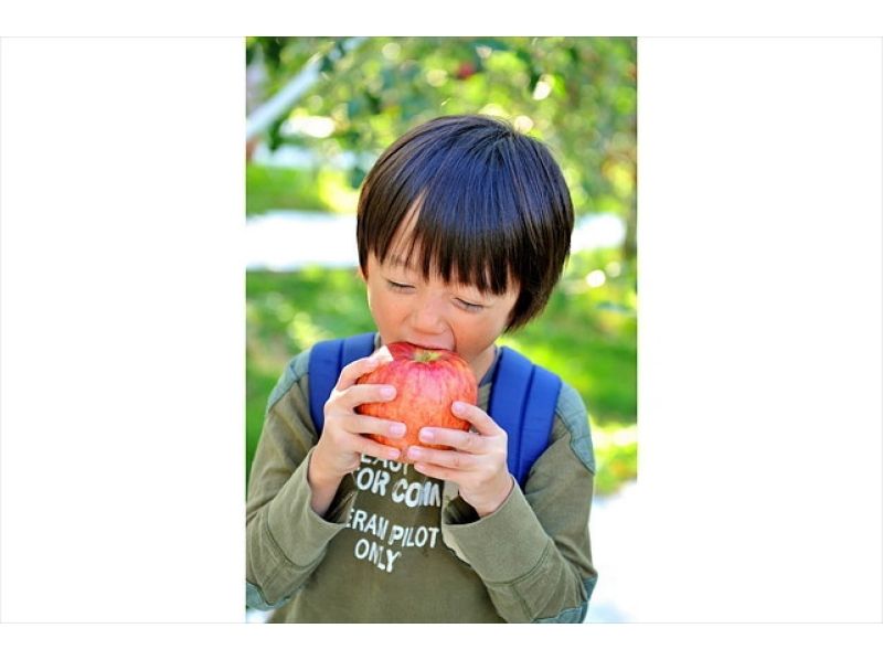 [Gunma / Numata] Enjoy the charm of fruits! Picking apples at a tourist fruit farm!の紹介画像