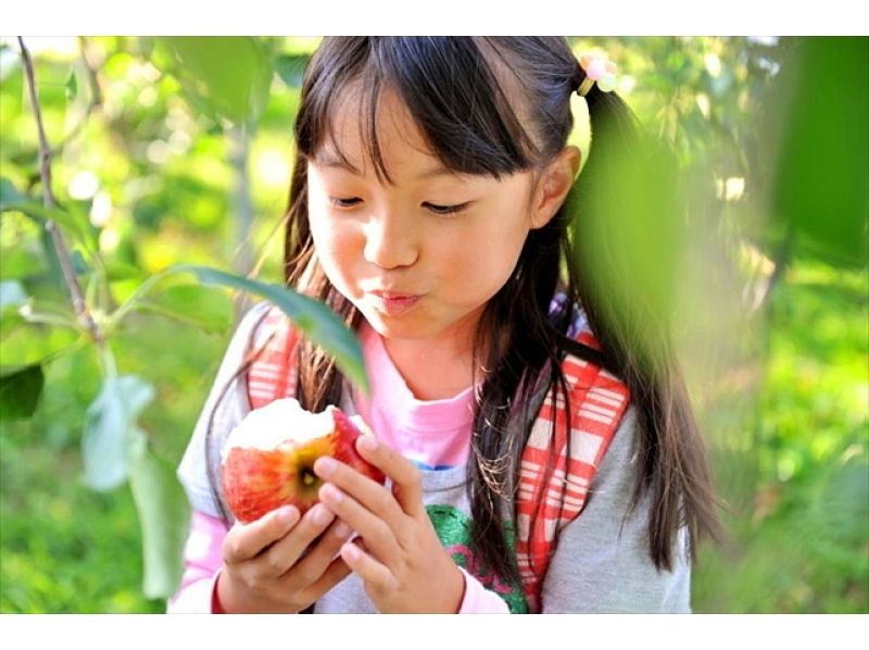 [Gunma / Numata] Enjoy the charm of fruits! Picking apples at a tourist fruit farm!の紹介画像