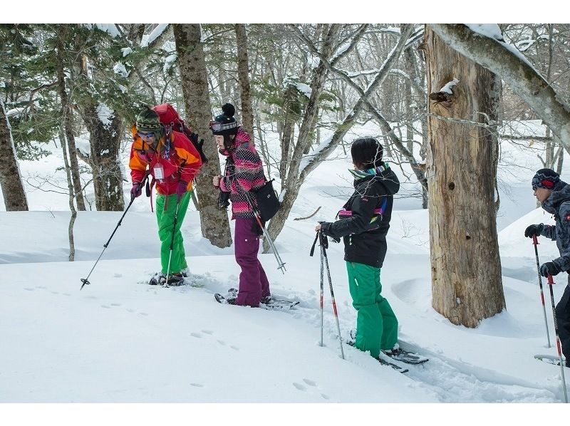 [Tochigi/ Nasu Kogen] Experience Snowshoes overlooking the Nasu mountain range! "Mount Jeans Nasu summit" for experienced people to beginnersの紹介画像