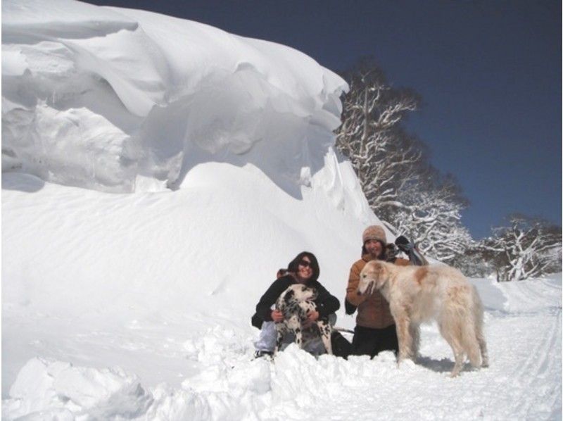 [Tochigi/ Nasu Kogen] Experience Snowshoes overlooking the Nasu mountain range! "Mount Jeans Nasu summit" for experienced people to beginnersの紹介画像