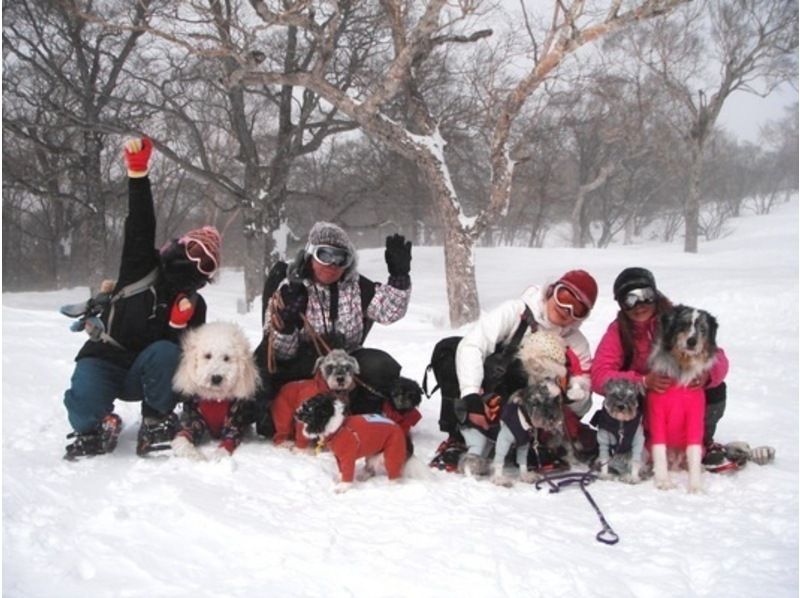 [Tochigi/ Nasu Kogen] Experience Snowshoes overlooking the Nasu mountain range! "Mount Jeans Nasu summit" for experienced people to beginnersの紹介画像