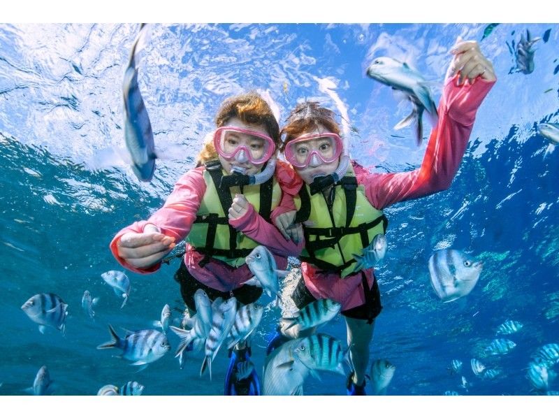 Women who enjoy snorkeling Feeding tropical fish fish