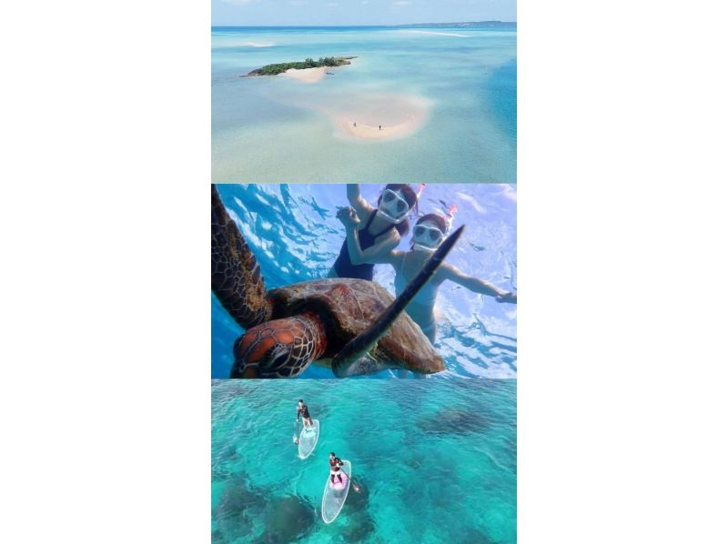 【宮古島】ウミガメ&ユニの浜＆SUP体験☆10年間遭遇率100％☆水着なし/当日OK☆組み合わせ相談可能の紹介画像