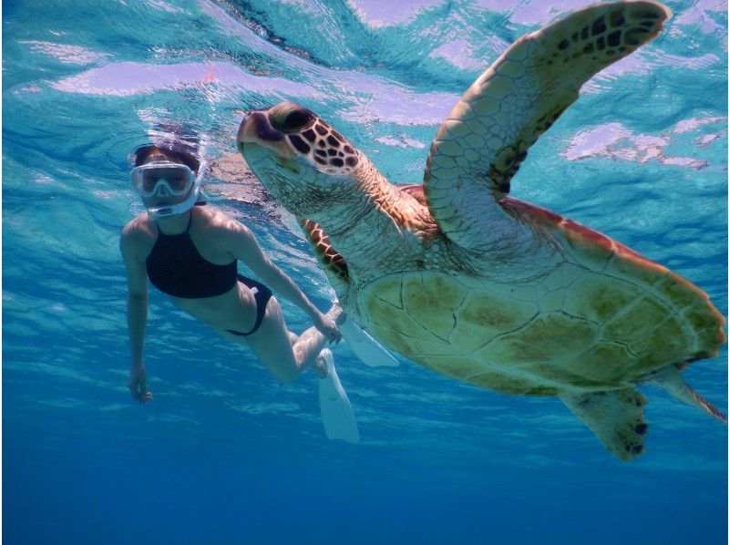 [Miyakojima] ☆ Encounter rate 100% ☆ Snorkeling tour to swim with sea turtle ＠ Bath towel free rental!の紹介画像