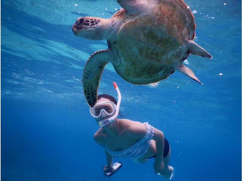 [Miyakojima] ☆ Encounter rate 100% ☆ Snorkeling tour to swim with sea turtle ＠ Bath towel free rental!の紹介画像