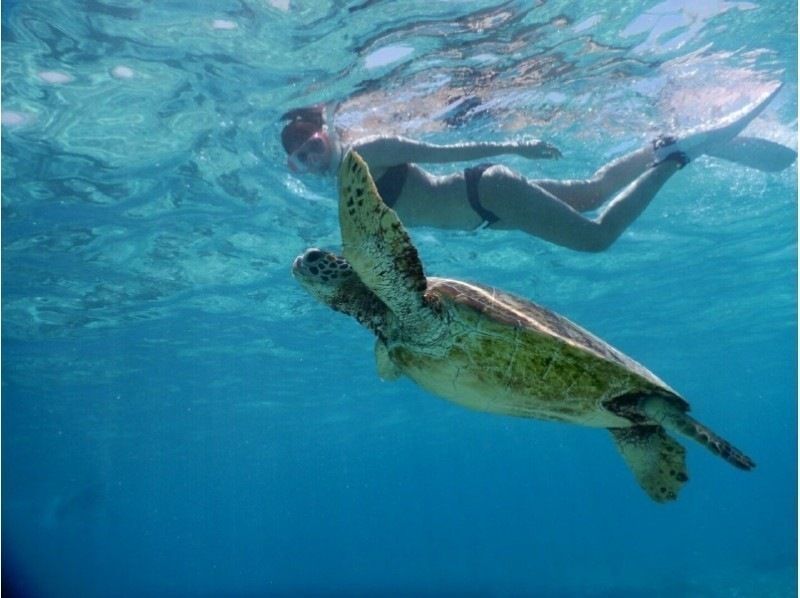 [Miyakojima] ☆ Encounter rate 100% ☆ Snorkeling tour to swim with sea turtle ＠ Bath towel free rental!の紹介画像