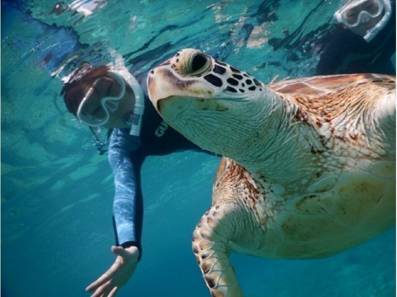 [Miyakojima] ☆ Encounter rate 100% ☆ Snorkeling tour to swim with sea turtle ＠ Bath towel free rental!の紹介画像