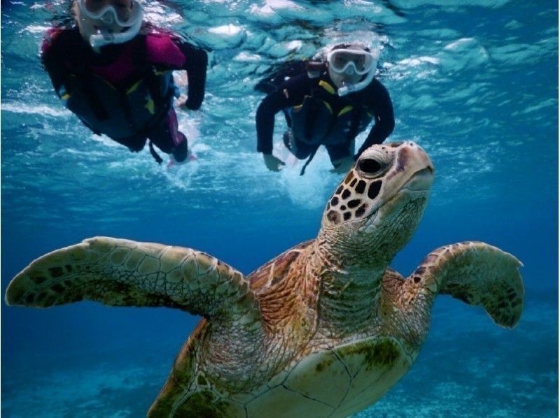 [Miyakojima] ☆ Encounter rate 100% ☆ Snorkeling tour to swim with sea turtle ＠ Bath towel free rental!の紹介画像