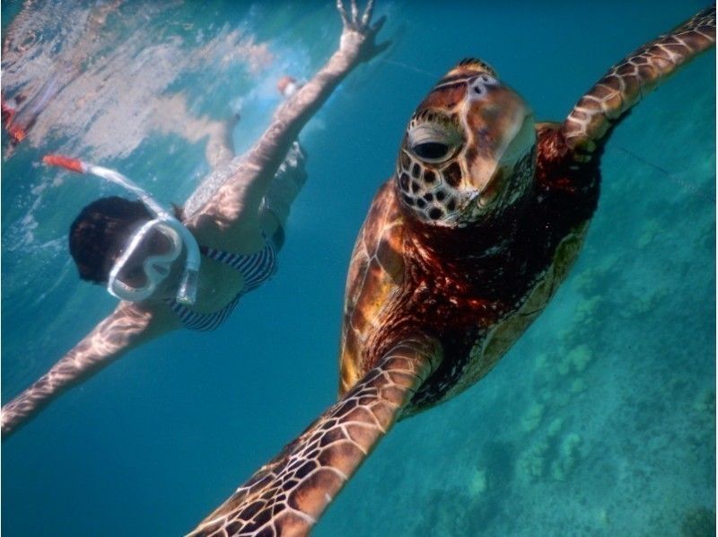 [Miyakojima] ☆ Encounter rate 100% ☆ Snorkeling tour to swim with sea turtle ＠ Bath towel free rental!の紹介画像