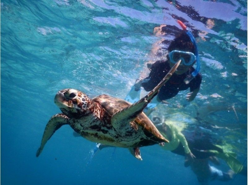 [Miyakojima] ☆ Encounter rate 100% ☆ Snorkeling tour to swim with sea turtle ＠ Bath towel free rental!の紹介画像