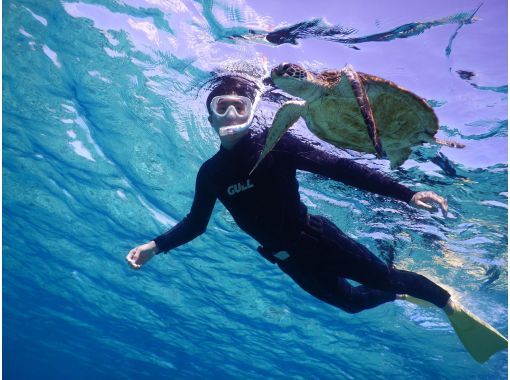 宮古島 遭遇率100 與海龜一起游泳的浮潛之旅 免費租借浴巾 Activityjapan