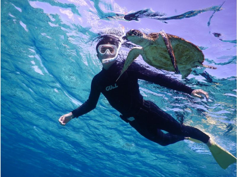 [Miyakojima] ☆ Encounter rate 100% ☆ Snorkeling tour to swim with sea turtle ＠ Bath towel free rental!の紹介画像