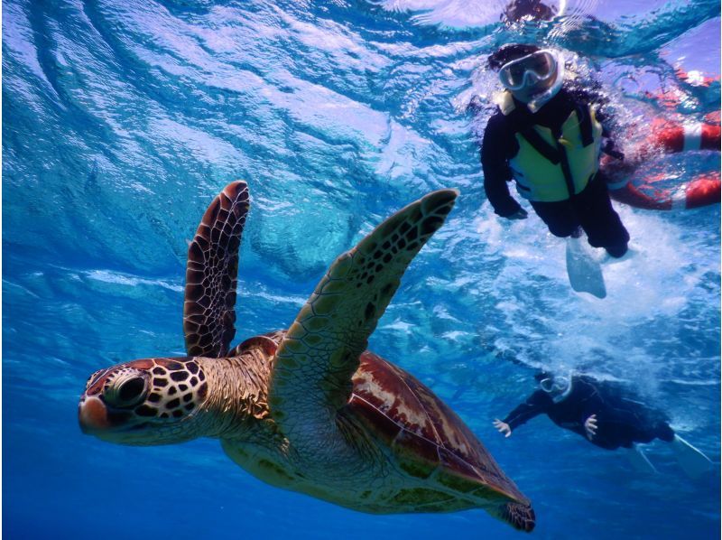 [Miyakojima] ☆ Encounter rate 100% ☆ Snorkeling tour to swim with sea turtle ＠ Bath towel free rental!の紹介画像