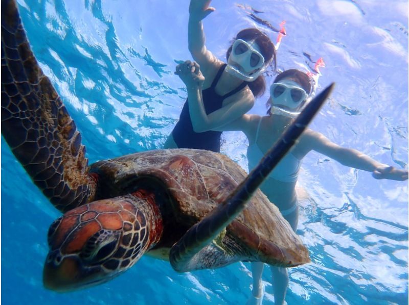 【宮古島】ウミガメ&ユニの浜＆SUP体験☆10年間遭遇率100％☆水着なし/当日OK☆組み合わせ相談可能の紹介画像