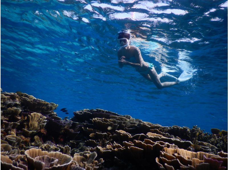 [Miyakojima] High Encounter rate★ Both sea turtle and coral Snorkeling tour ＠ Bath towel free rental