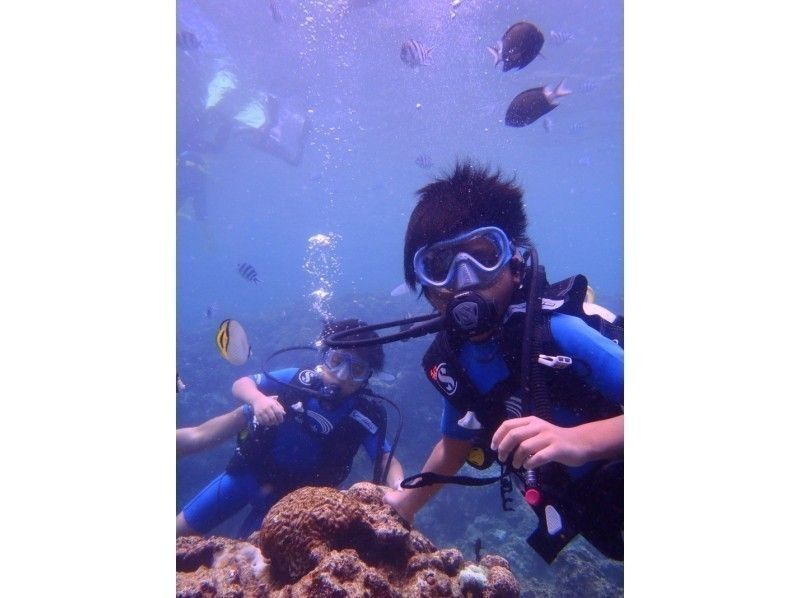 【오키나와・푸른 동굴】완전 전세! 가족 모두가 즐기자 체험 다이빙! 사진 동영상 무료 선물!の紹介画像