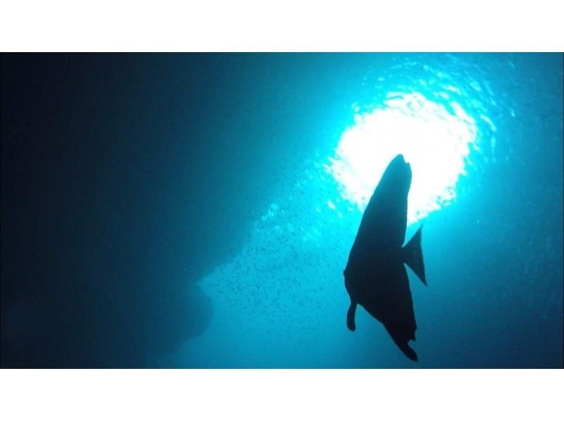 [Okinawa / Blue Cave] 1 set private scuba with towel & highest quality photos movie
