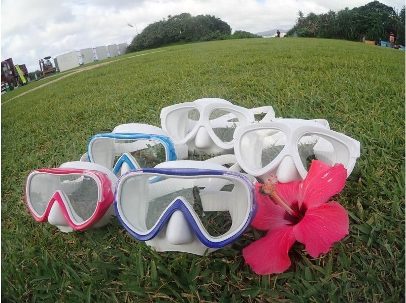 自慢の自社施設❤VR撮影カメラInsta360 3名以上で無料★ボートで楽々【恩納村・青の洞窟１組専属体験ダイビング】GoPro＆魚の餌無料の紹介画像