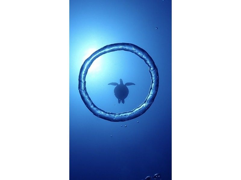 3名以上参加でInsta360無料☆当日予約大歓迎❤️2歳から【恩納・楽々ボート青の洞窟・1組専属シュノーケリング】魚餌付無料☆5名からお得の紹介画像