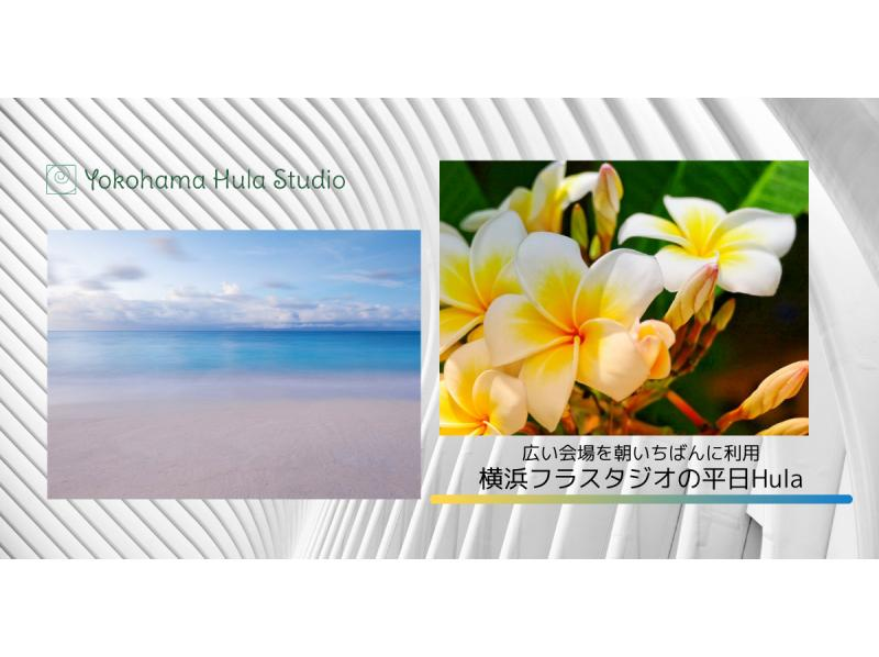 【神奈川・横浜】広い会場を朝いちばんに利用【横浜フラスタジオの平日Hula】ハワイの文化を大切に学んでいく、15名限定レッスンの紹介画像