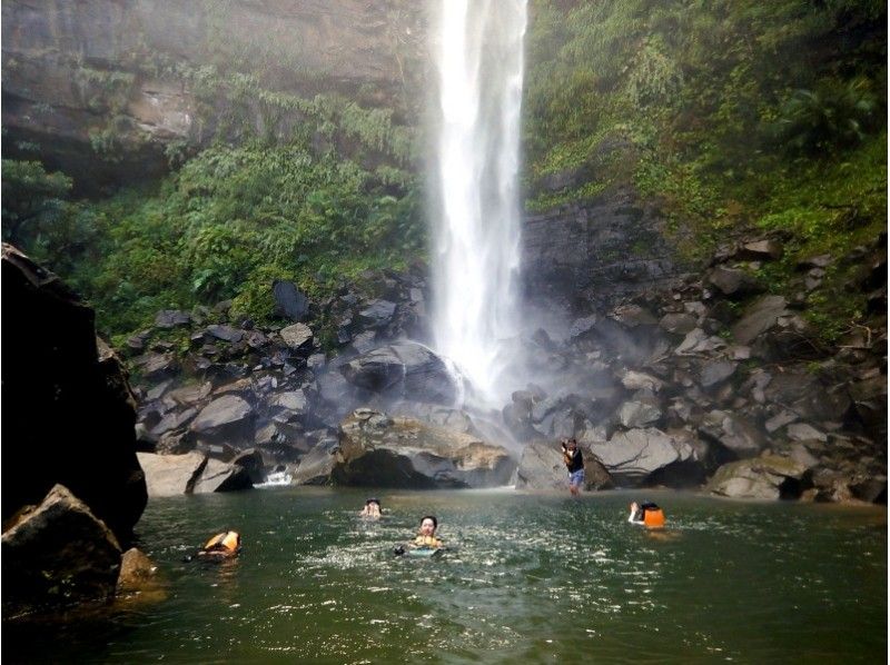 [Okinawa Ishigaki] Mangrove canoe & Pinaisara Takinoue Waterfall Trekking (local coupon available)の紹介画像