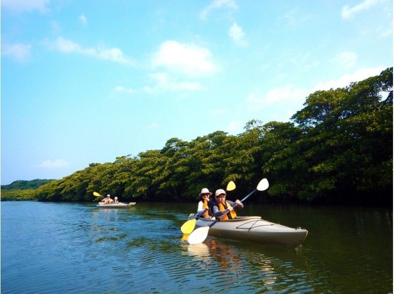 [沖縄·Ishigaki]紅樹林獨木舟和Pinaisara瀑布和Yufu島水牛車旅遊の紹介画像