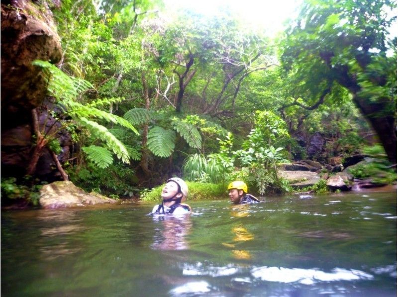 【Okinawa · Ishigaki】 Mangrove Canoe & Pinusarra Falls & Canyoningの紹介画像
