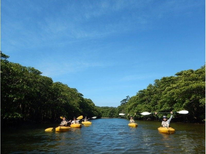 【Okinawa · Ishigaki】 Mangrove Canoe & Pinusarra Falls & Canyoningの紹介画像