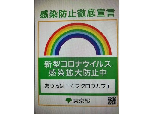 東京 池袋動物ふれあい体験 フクロウカフェ池袋 ハリネズミとのふれあいをお得に同時体験 土日祝コース 90分 池袋駅西口より徒歩3分 アクティビティジャパン