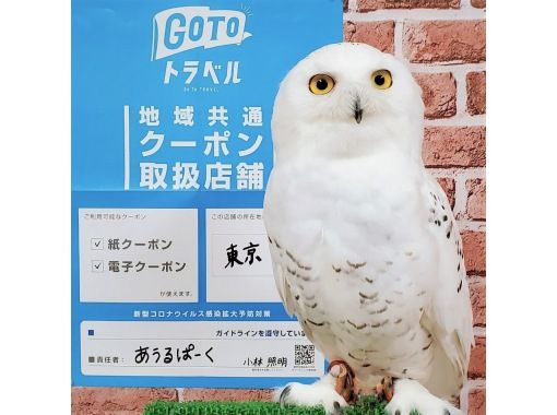 【東京・池袋動物ふれあい体験】フクロウカフェ池袋＆ハリネズミとのふれあいをお得に同時体験！（土日祝コース：90分）池袋駅西口より徒歩3分