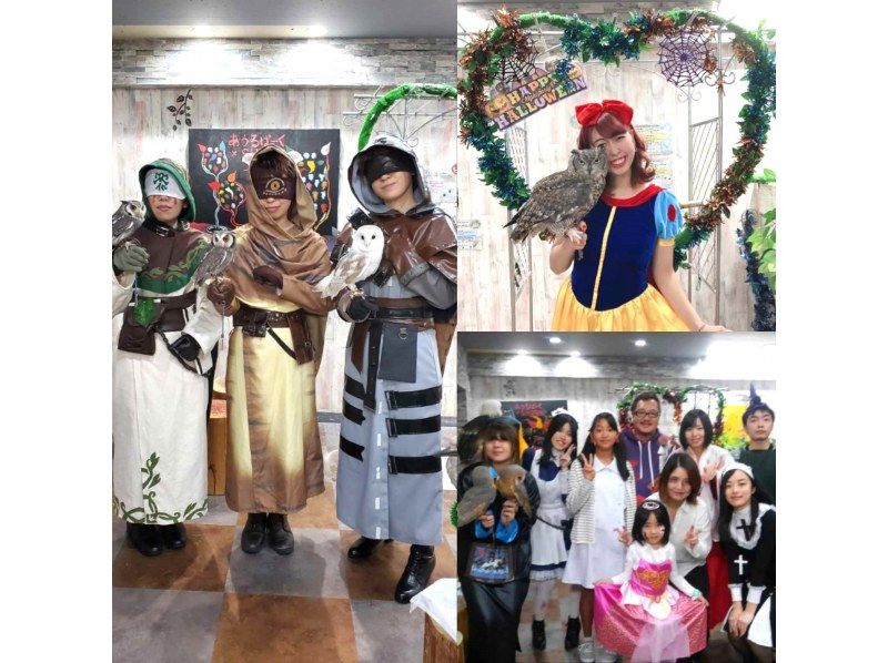 Tokyo Ikebukuro Owl Tokyo Owl Cafe Charter Cosplay photo