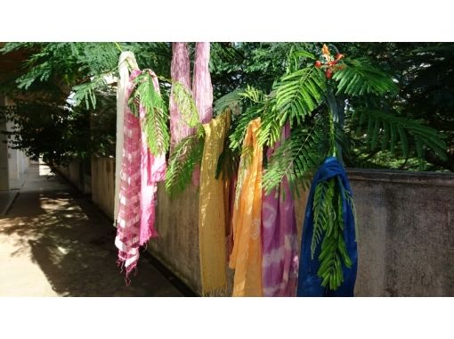 Okinawa Kunigami-gun]Textile dyeing experience Let's dye the tote