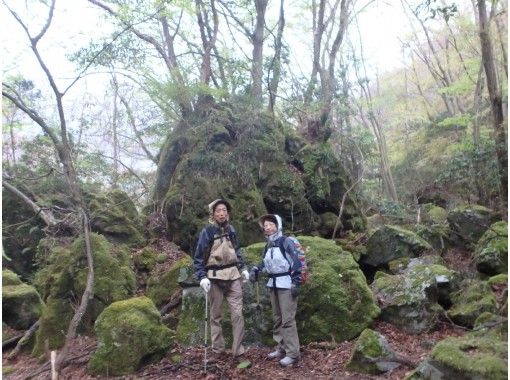 静岡 伊豆 子供に大人気 女性ガイドと体験登山 矢筈山 やはずやま トレッキング アクティビティジャパン