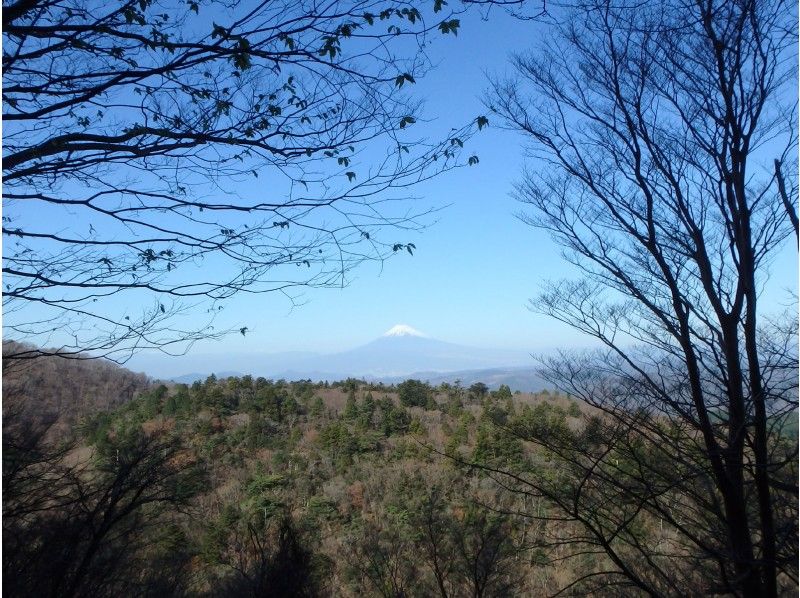 [Shizuoka/ Izu] Genkotsuyama's nickname "Yamanzan" Geo trekking with a Female guide!の紹介画像