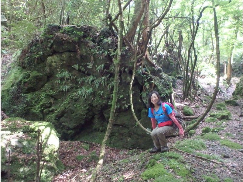 【静岡・伊豆】子供に大人気！女性ガイドと体験登山・矢筈山（やはずやま）トレッキングの紹介画像