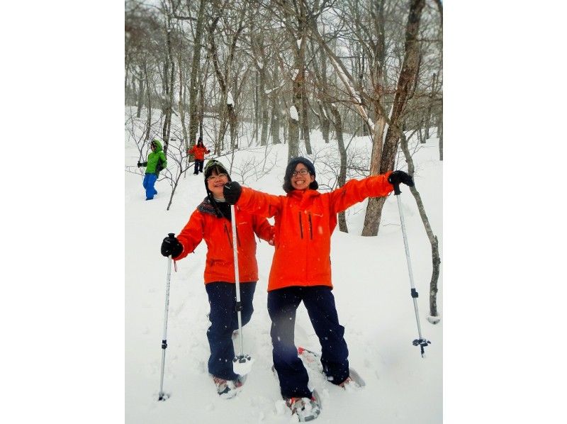 【福岛、会津、貔貅】空手而来！前往粉雪参天的森林！体验雪鞋徒步穿越原始山毛榉林！の紹介画像