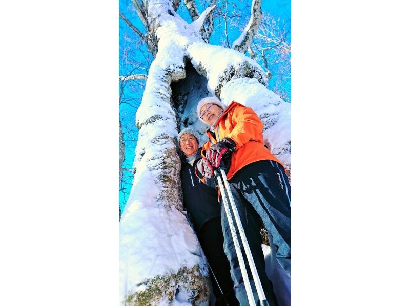 【福岛、会津、貔貅】空手而来！前往粉雪参天的森林！体验雪鞋徒步穿越原始山毛榉林！の紹介画像