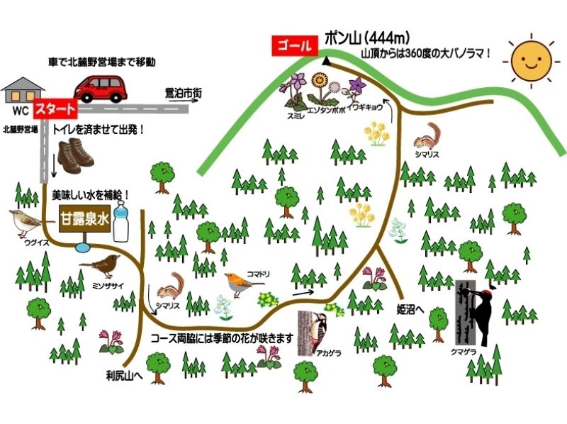 [ฮอกไกโดเกาะ Rishiri] Rishiri คู่มือธรรมชาติบริการ Rishiri เกาะ "พงษ์ภูเขา" แผนของการเดินป่าの紹介画像