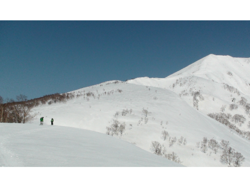 【北海道・ニセコ】アンヌプリ山頂からの滑走！バックカントリーガイド（リピーター限定・上級者向け）の紹介画像