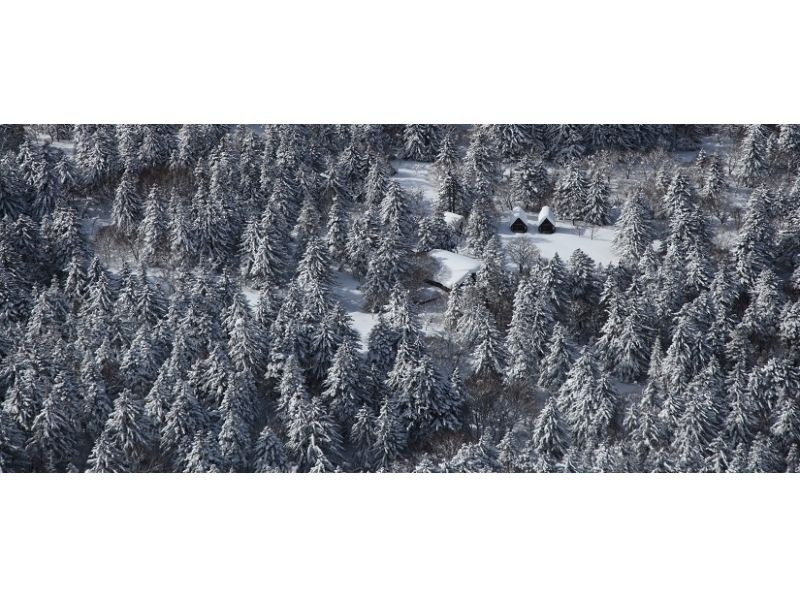 [北海道·利尻島】利尻自然導遊服務·利尻山雪上徒步“半天”體驗計劃の紹介画像
