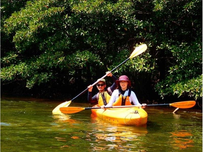 【Okinawa · Ishigaki】 Mangrove Canoe & Pinusarra Falls & Canyoning & Caving Expeditionの紹介画像