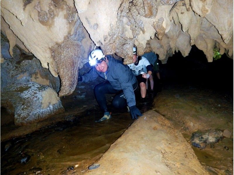 [沖縄·Ishigaki]紅樹林獨木舟和Pinaisara瀑布和溪降洞穴探險の紹介画像