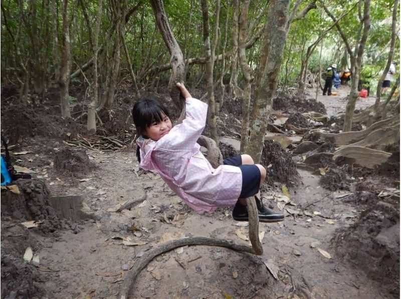 [沖繩石垣]紅樹林獨木舟和Pinaisara瀑布盆地徒步旅行（當地優惠券可用）の紹介画像