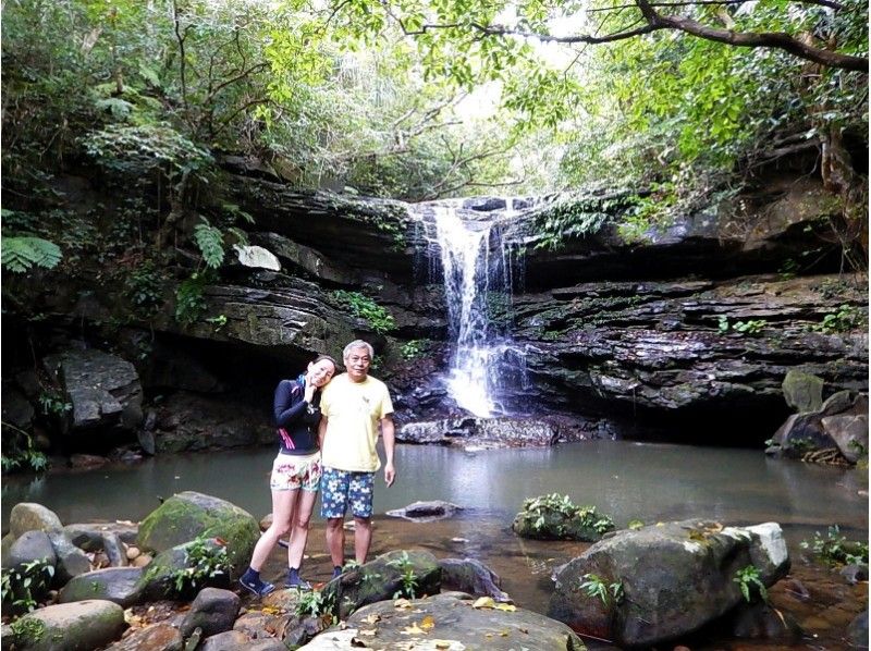 [沖縄·石垣島>短途課程·涼爽的瀑布很容易徒步旅行の紹介画像